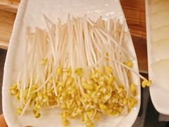 -蜀九香火锅(彩虹店)