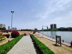 -沙澧河风景区