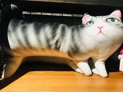 -猫咪博物馆(顶澳仔猫街店)