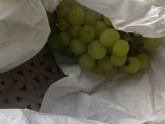 -马陆小张葡萄园农家乐