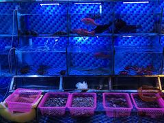 -永顺潮汕菜海鲜砂锅粥生腌大排档(万安大厦店)
