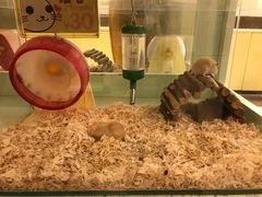 -龙猫仔乐园(惠福东路店)