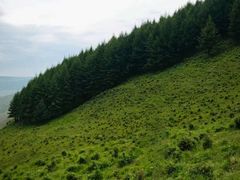 -蔚县茶山村