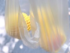 -素清香(解放路店)