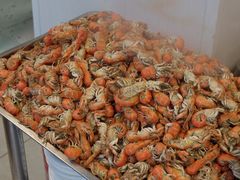 -日丰园海肠水饺·老字号大连海鲜(小平岛总店)