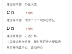 -大望路(地铁站)