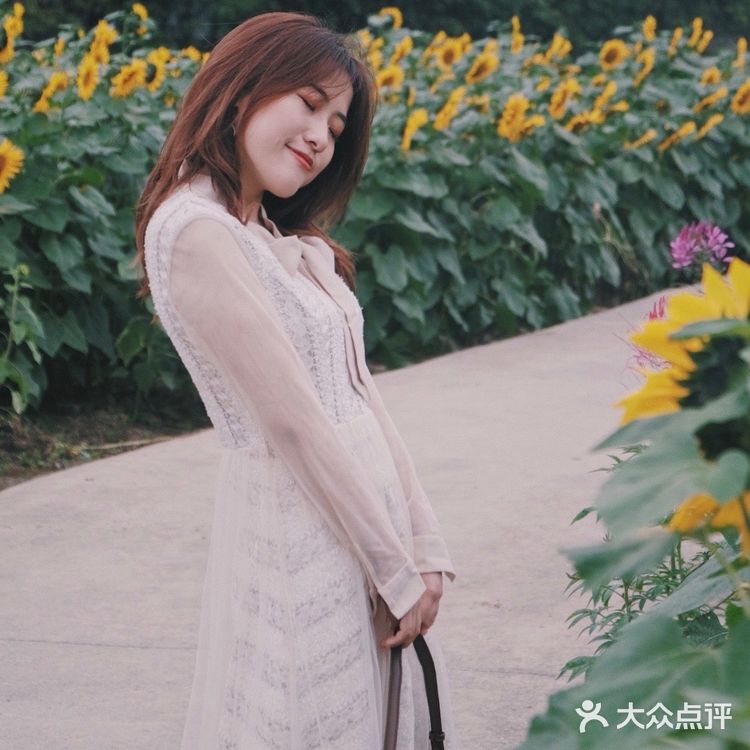 广州周边0元拍照地|春日里的向日葵花海🌻