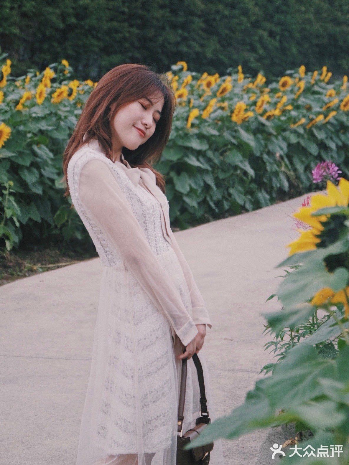 广州周边0元拍照地｜春日里的向日葵花海🌻