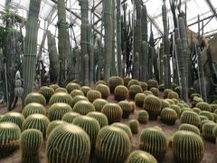 -南山植物园