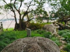 -江心屿景区