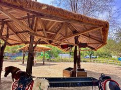 -水上乐园·欢乐世界