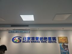 -北京观赏动物医院·24小时大型综合·猫专科·异宠专科