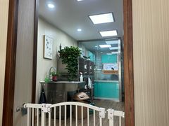 -中农大我爱我爱24h动物医院·中医针灸·猫专科·骨科医疗中心(双井店)