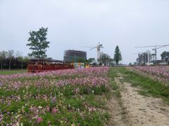 -歌斐颂巧克力小镇