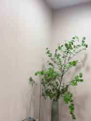 -上海首尔丽格医疗美容医院