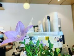 -常识咖啡common sense(春熙路店)