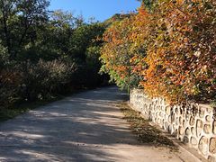 -北京鹫峰国家森林公园