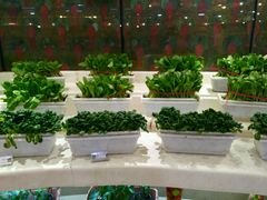 -味茂·老船夫1927(东海东路店)