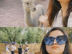 -水上乐园·欢乐世界