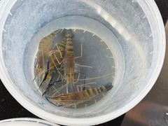 -粮心小农·大头虾亲子生态园(长发店)