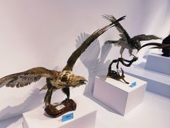 -中国湿地博物馆