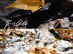 -叠溪松坪沟景区