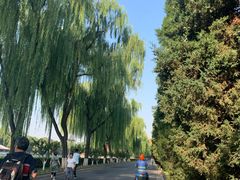 -东华门大街小区