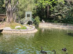-深圳野生动物园
