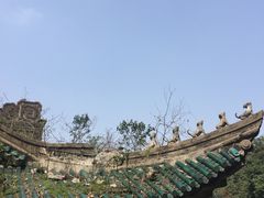 -武汉大学-樱园