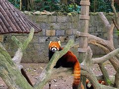 -上海野生动物园