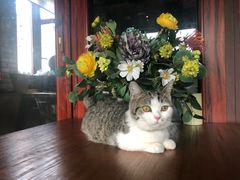 -IFIF 如果花園(宽厚里店)