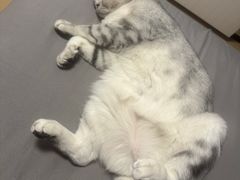 -萌兽医馆·犬猫专科·眼科中心·宠物医院(朝阳门分院)