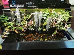 -希望齿科(河西店)