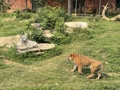 -无锡动物园·太湖欢乐园