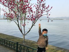 -西湖游船