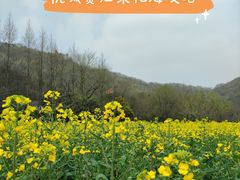-八卦田遗址公园