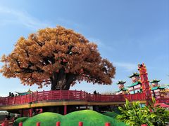 -中华郡文化旅游景区