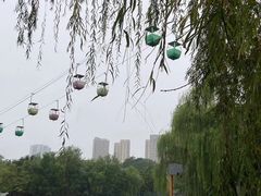 -郑州市动物园