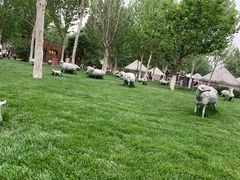 -九十九顶毡房(阜石路店)