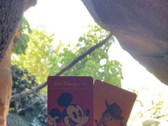 -奥兰多迪士尼动物王国乐园