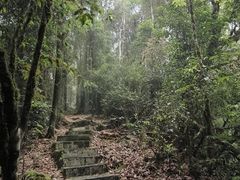 -大围山国家森林公园