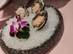 鲜鲍鱼-龙鲜会·澳门生鲜火锅(诚品店)