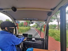 -上海长兴岛郊野公园