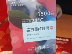 -tea'stone (万象天地店)