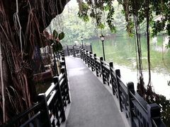 -侨美·唐荔园·40年地道粤菜