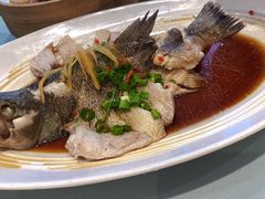 -眉州东坡(民族园店)