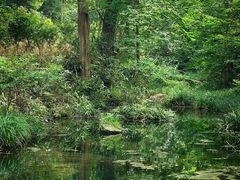 -素山寺森林公园