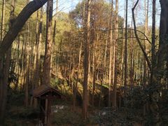 -东明山森林公园