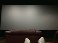 -幸福蓝海国际影城(河西店)