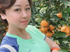 -前小桔亲子创意农场·草莓采摘·露营烧烤